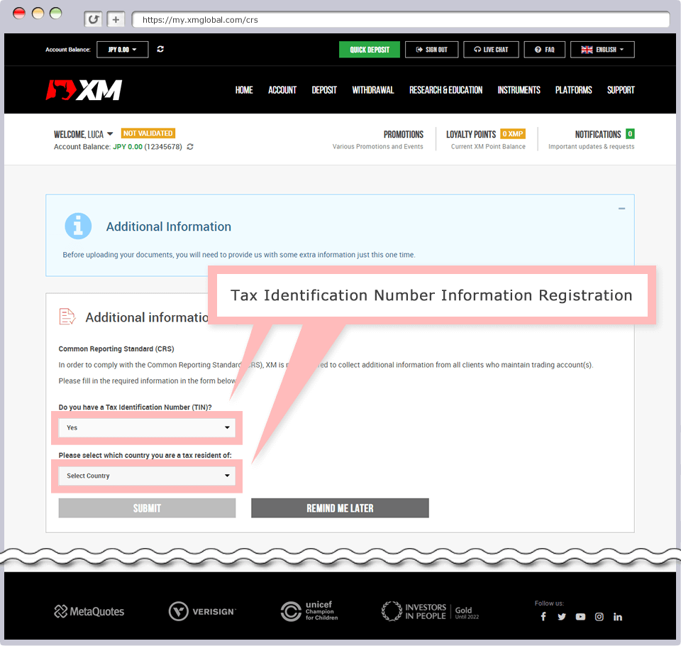 Tax Identification Number information registration (If you choose 'Yes')